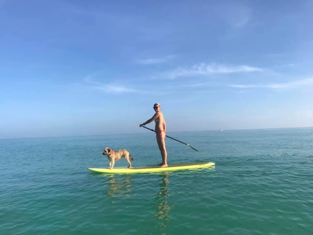 Attività con animali domestici 