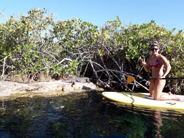  Paddle