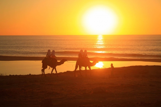 Disfruta del increíble atardecer desde un Camello