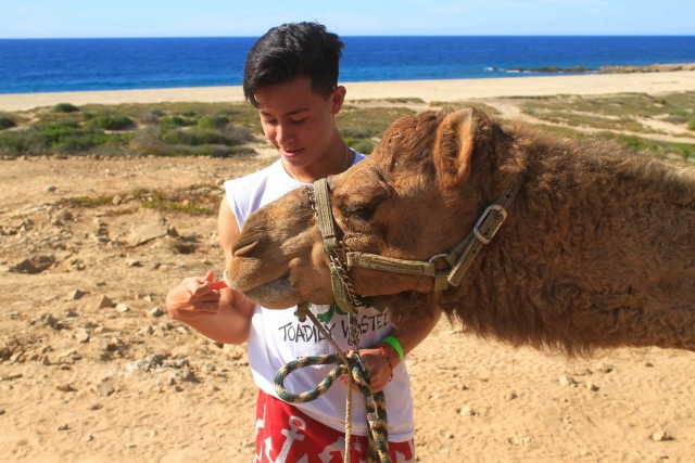 Una experiencia en las que los niños pueden disfrutar