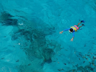 Nuota con lo squalo balena Isla Mujeres di Akumal