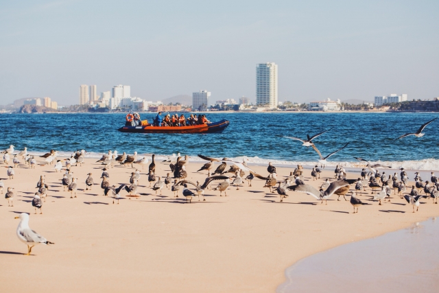  沿着海滩航行 