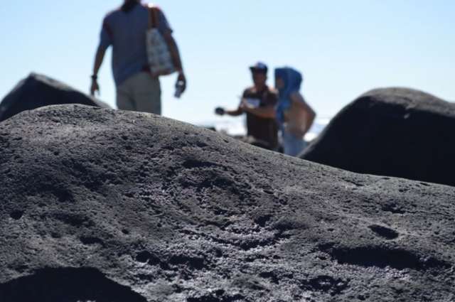  Petroglyph 