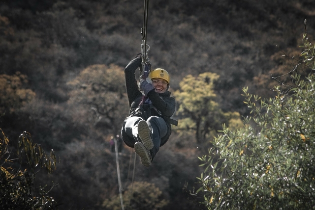 zipline-168019_1280 