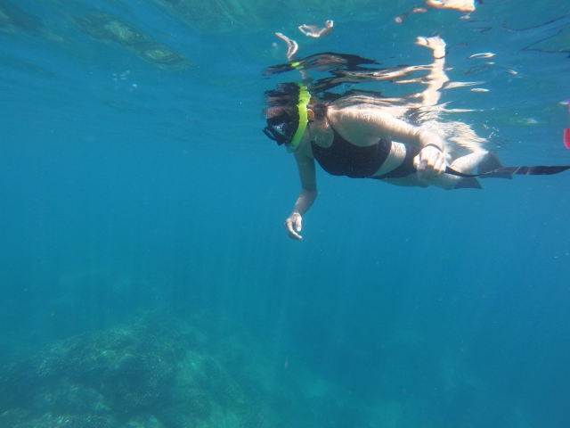  Schwimmen im Meer von Cortez 