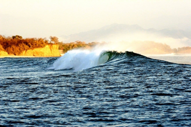 Vagues pour surfer 