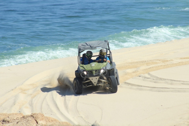  They will also be able to go as companions on the buggies 