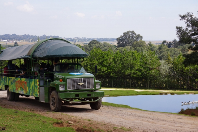 Paseo en camión safari