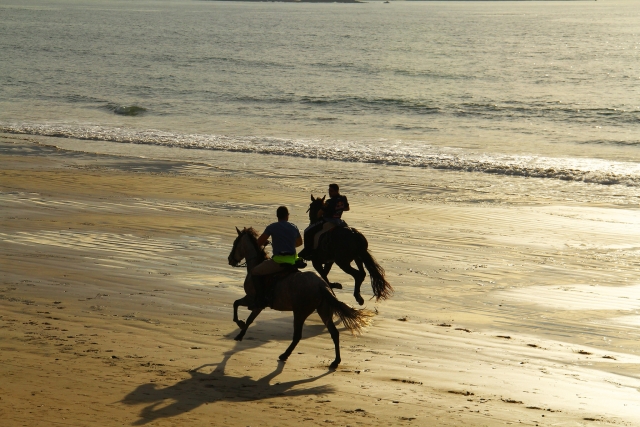  Reiten entlang der Küste 