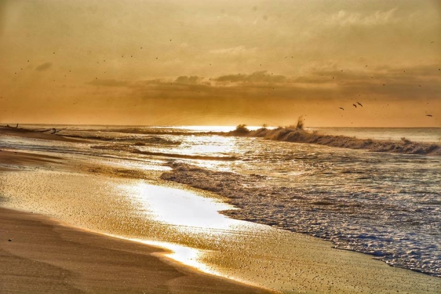  Goldene Stunde am Strand