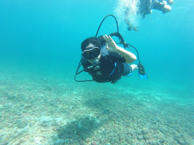 Inmersiones en la bahía