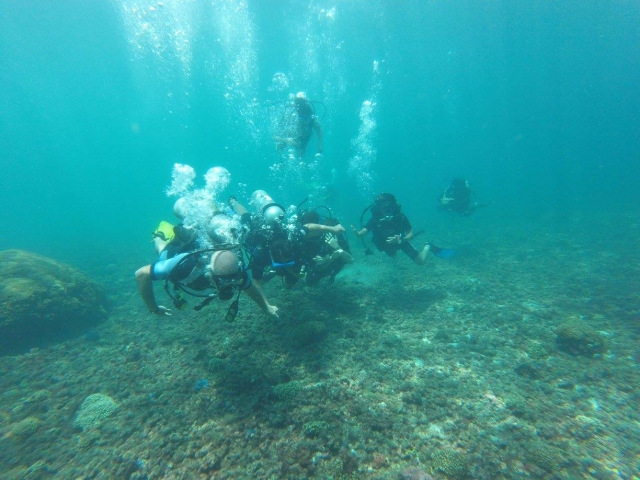  Nuotare nella barriera corallina 