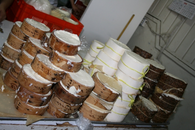  Fromages typiques 