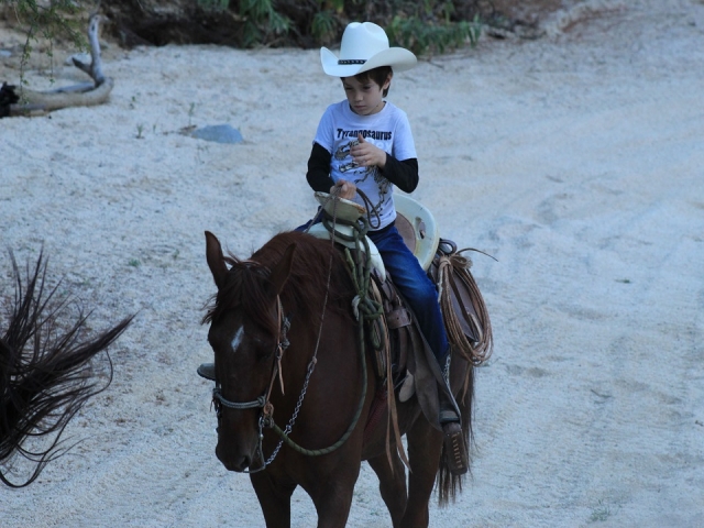  Itinerario a cavallo a Los Cabos per bambini e adulti 