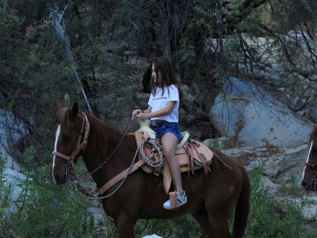  Anche i bambini possono godersi la passeggiata a cavallo 