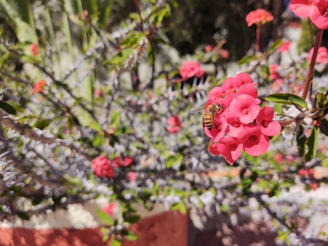 Naturaleza
