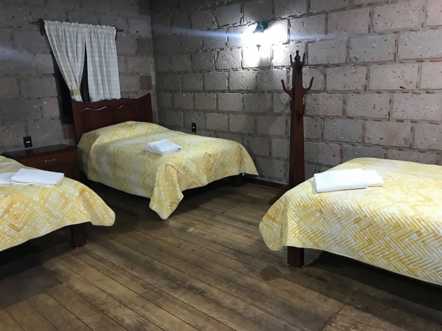 Camas en cabaña