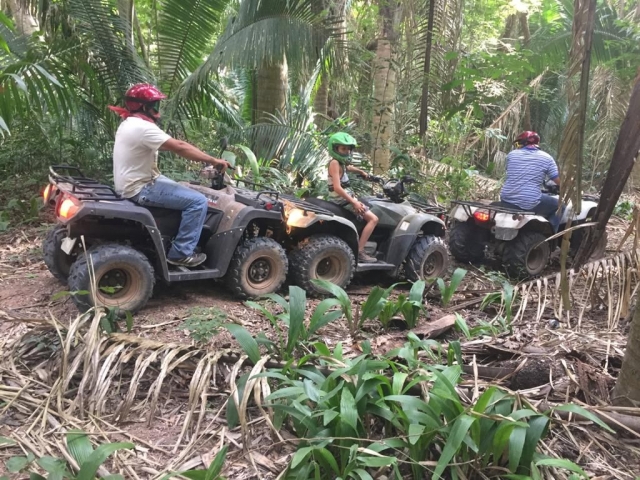  VTT à travers la jungle 