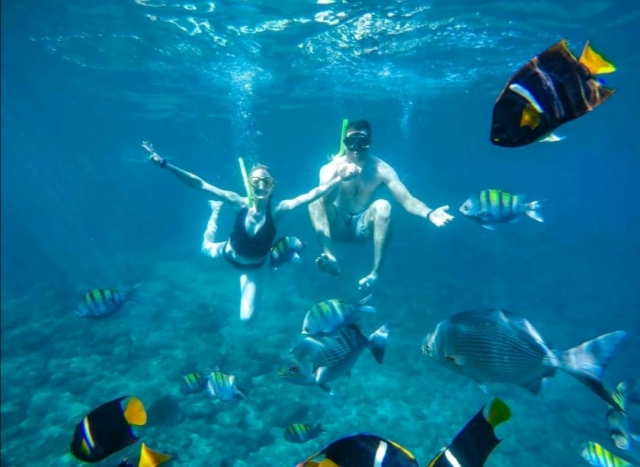 Snorkel Puerto Vallarta