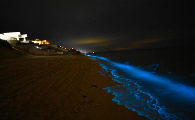  Biolumineszenz in Huatulco 
