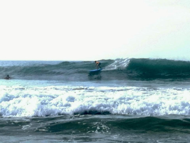  Surfen in Ixtapa für Kinder 
