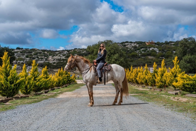  Tour and enjoy our views on a horseback ride 