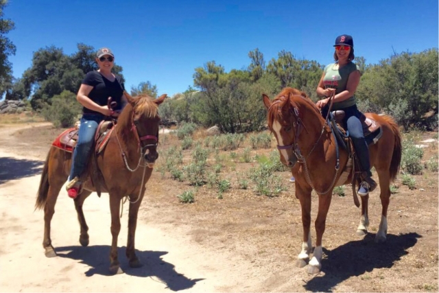 Horse ride 