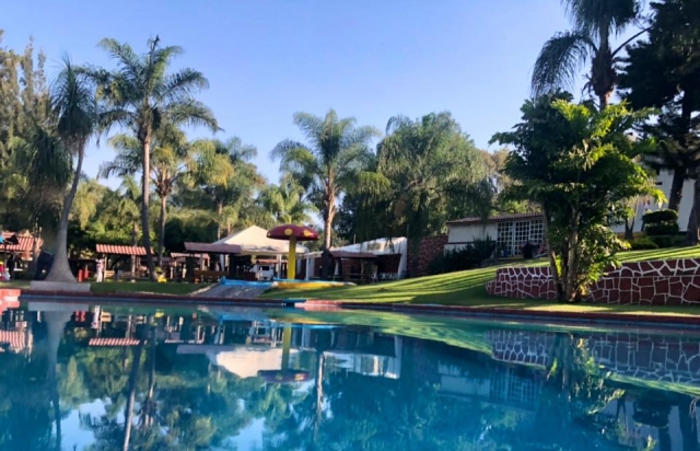  Pool and green areas 