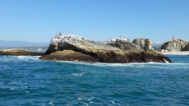  Praias em Puerto Escondido