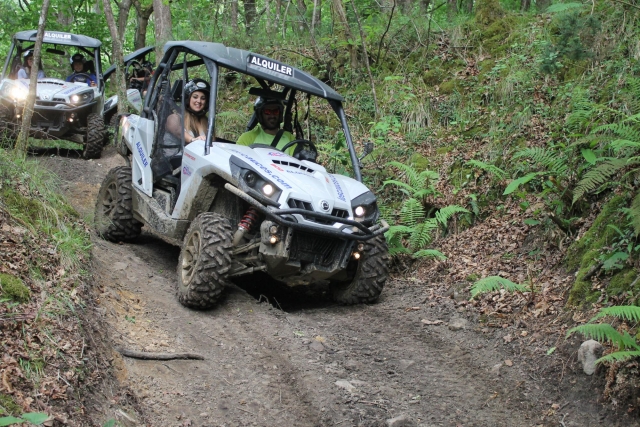 Equipo de buggies