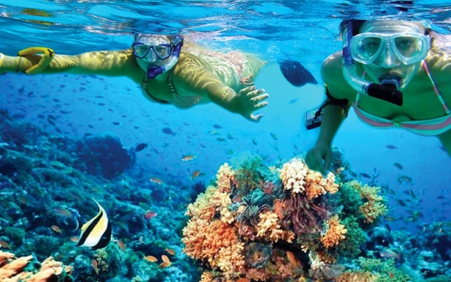  Snorkeling 