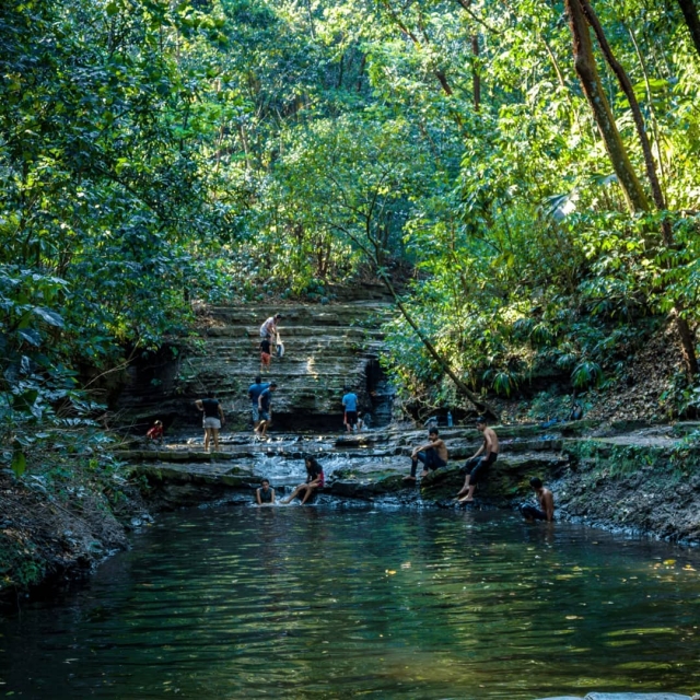  Live the jungle of Tabasco