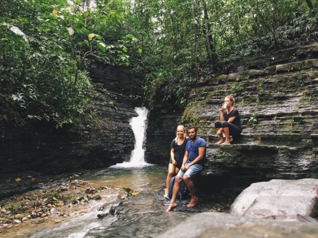  Profitez d'une journée dans la jungle avec vos amis.