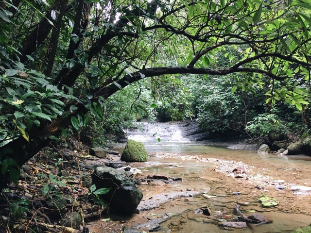  Visitez l'écoparc de Tabasco 