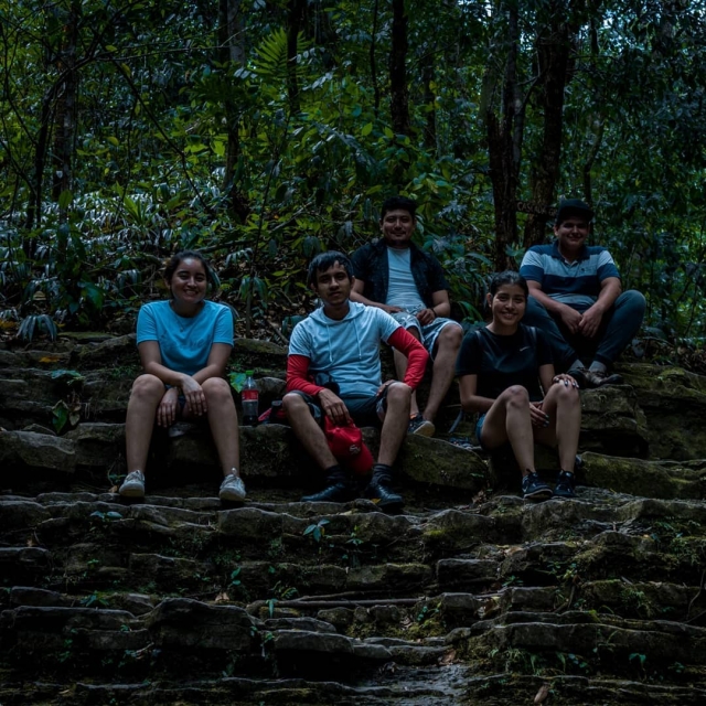  Venez en famille dans la jungle 