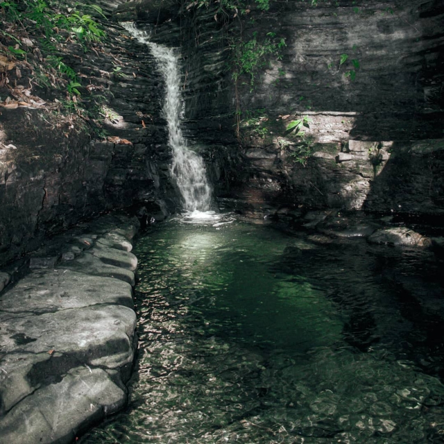  Profitez de l'écoparc de Tabasco 