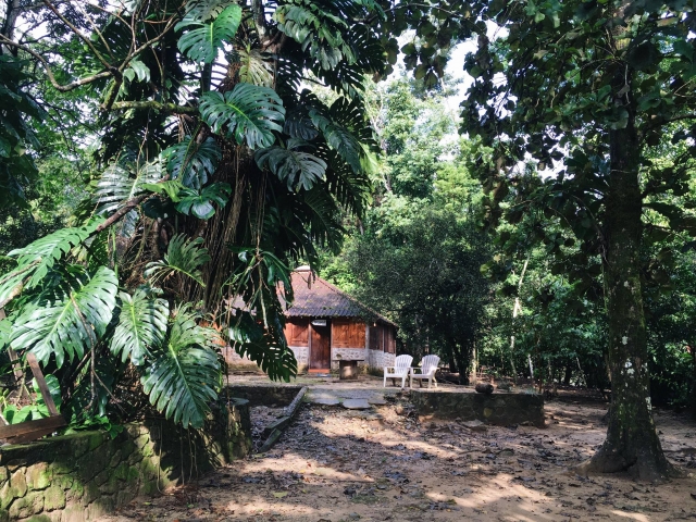 Hospédate en una de nuestras cabañas en Tabasco