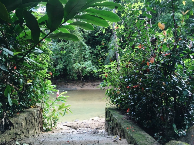 Zona de cabañas en la selva de Huimanguillo