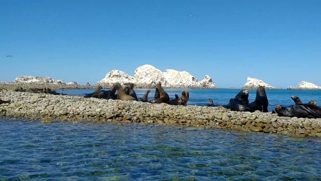 Isla San Jorge