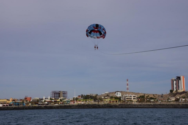  Paraqueiras em Mar de Cortéz 