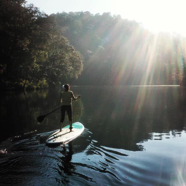 Paddle board