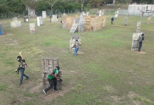 Campo no porto 
