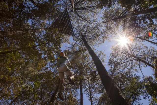  Zipline nella foresta di Valle de Bravo 