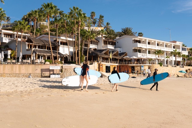 Surfers in San José del Cabo 