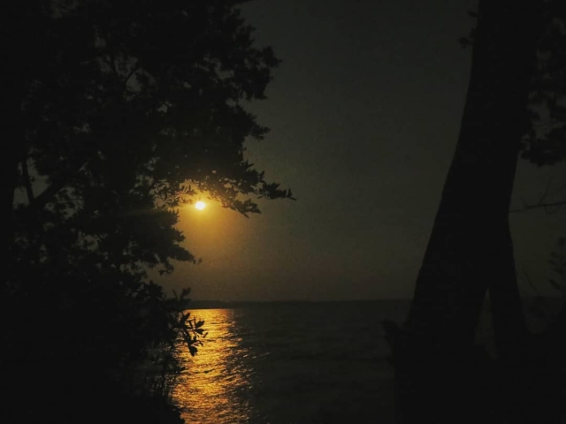 Night experience 
