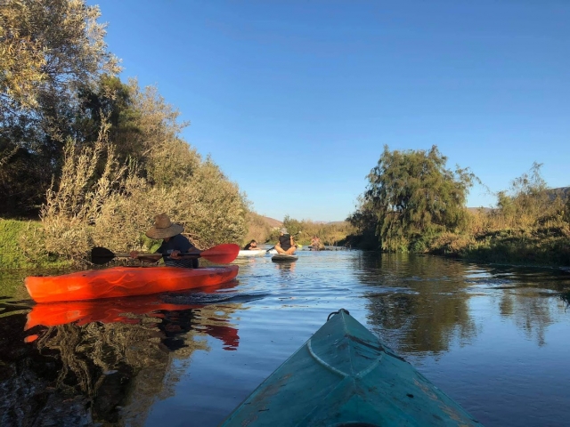  Kayaking experience