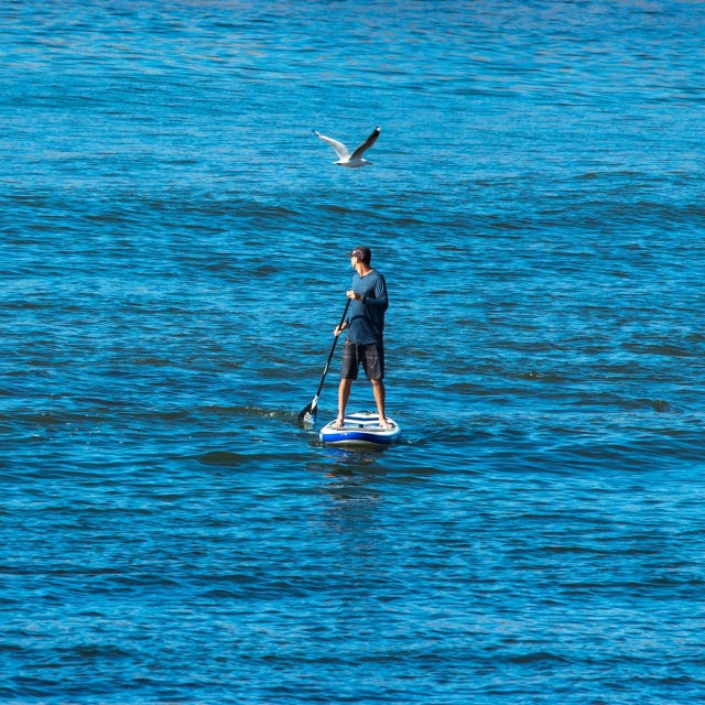  Naviga su un SUP lungo la costa di Playa del Carmen 