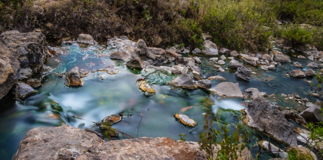 Streams in the forest 
