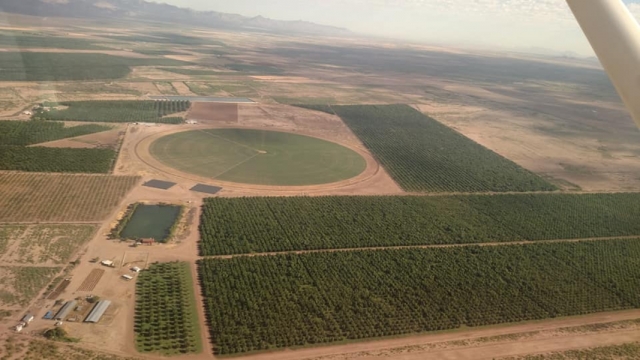  ARASA Folhas de Aldama, Chihuahua 