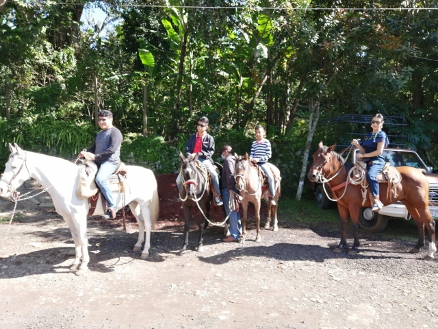  Family Horse Tour 